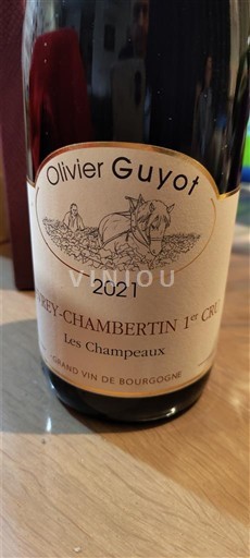 Borgonha Não especificado Premier Cru Olivier Guyot Les Champeaux 2021