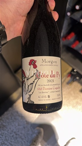 Beaujolais Morgon SAS Damien Coquelet Côte du Py 2021