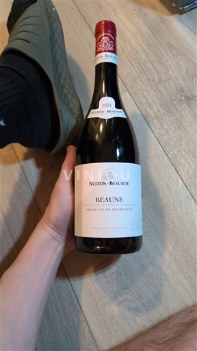 Bourgogne Beaune Nuton-Beaunoy 2023