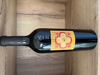 Bordeaux Saint-Émilion Grand Cru Grand Cru Château Lassègue 2019