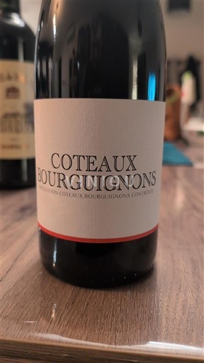 Bourgogne Coteaux bourguignons VENDANGE MAYOU 2021