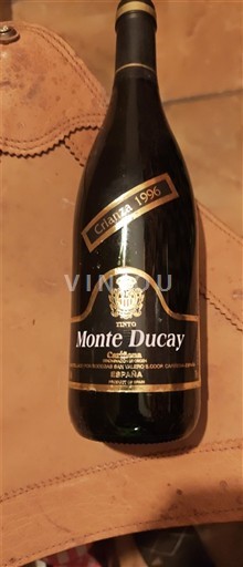 Aragona Cariñena Monte Ducay Crianza 1996