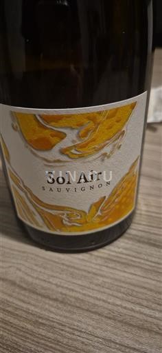 Valle della Loira Touraine Les Vignerons des Coteaux Romanais Sauvignon Sol Air 2018