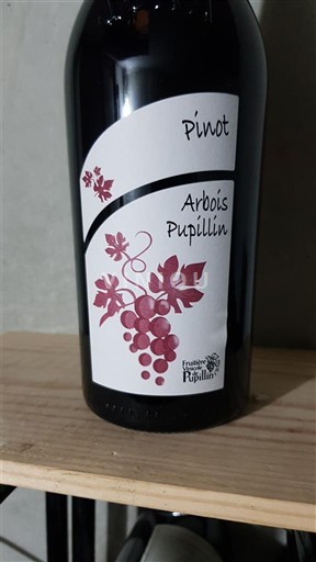 Jura Không được chỉ định Fruitière Vinicole de Pupillin Pinot 2022