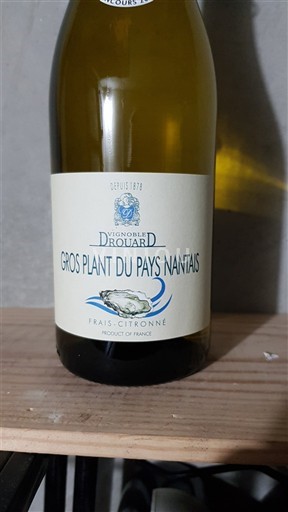 Thung lũng sông Loire Gros-plant-du-pays-nantais Vignobles Drouard Frais-Citronné 2023