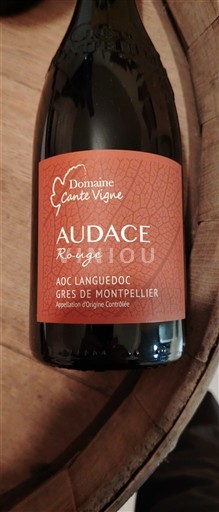 Linguadoca Domaine Cante Vigne Audace 2023
