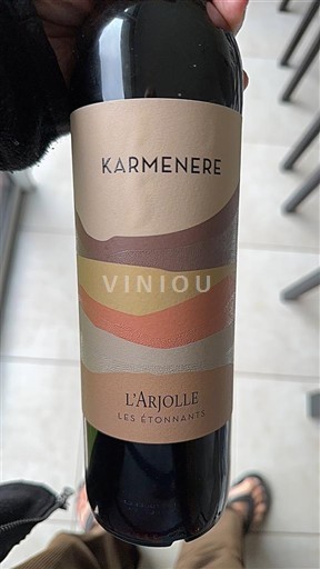 Languedoc et Roussillon Côtes de Thongue Domaine L'Arjolle Karmenere Les Étonnants 2023