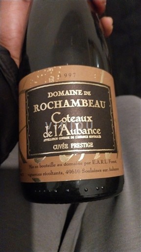Thung lũng sông Loire Coteaux-de-l'aubance Domaine Rochambeau Prestige 1997