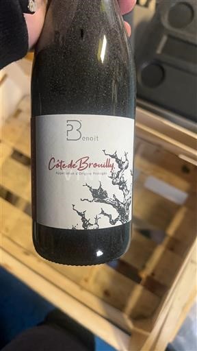 Beaujolais Côte-de-brouilly Benoit 2021