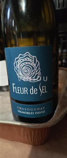 Languedoc-Roussillon Pays d'Oc Vignobles David Fleur de Sel Non-Vintage