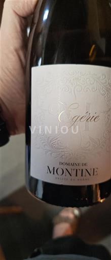 Thung lũng Rhône Grignan-les-adhémar Domaine Montine Egérie Không niên vụ