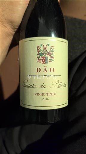 Bồ Đào Nha Dão Quinta da Pellada Casa e Mata 2016