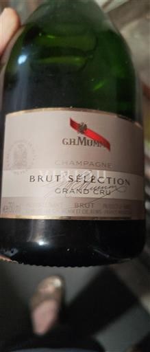 Samppanja Grand Cru G.H. Mumm Brut Sélection Ei vuosikertaa