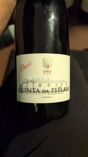 Portugal Dão. Quinta da Pellada Baga 2020