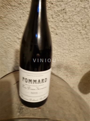 Borgoña Pommard Maxime Dubuet 2023