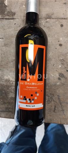 Sydvestfrankrig Floc-de-gascogne Domaine Brameloup Montage 2024