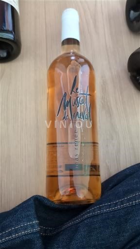 Languedoc Muscat de Mireval Mas René Guilhem Neročník