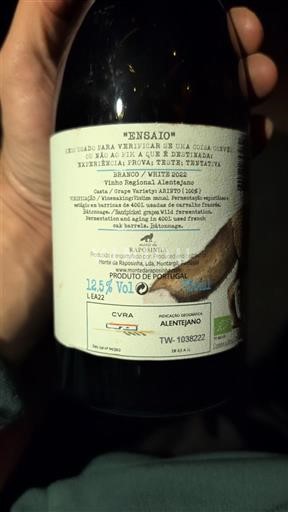 Alentejo Alentejano Monte da raposinha Ensaio arinto 2022