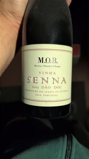Portugal Dão. M.O.B. (Moreira, Olazabal & Borges) Vinha Senna 2017