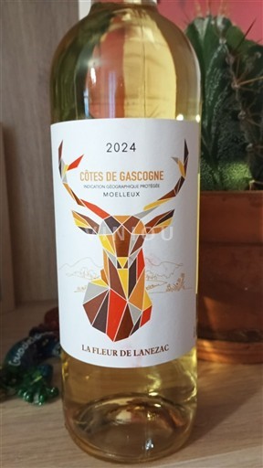 Southwest Côtes de Gascogne La Fleur de Lanezac 2024