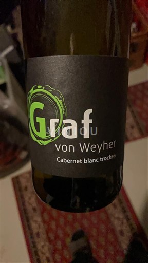 Palatinat Pfalška Graf von Weyher 2024