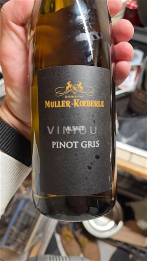 Alsace Không được chỉ định Domaine Muller-Koeberle 2019