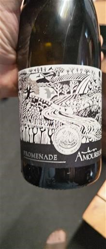 Alpes và các vùng Rhodanien Ardèche Les Amoureuses Promenade 2023