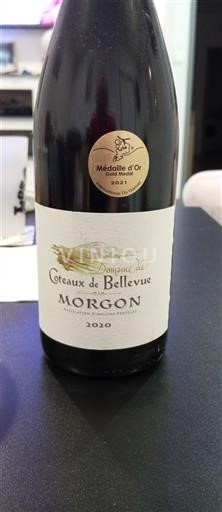 Beaujolais Morgon Domaine S Coteaux de Bellevue 2020