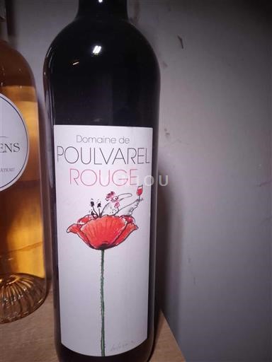 Valle del Rodano Costières di Nîmes Domaine Poulvarel Rouge Senza annata
