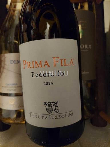 Calabrien Tenuta Iuzzolini Prima Fila 2024