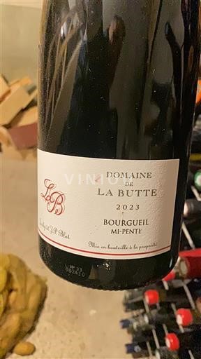 Thung lũng sông Loire Bourgueil Domaine La Butte Mi-Pente 2023