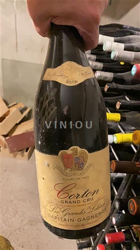 Borgogna Corton Grand Cru Capitain-Gagnerot Les Grandes Lolières 2016