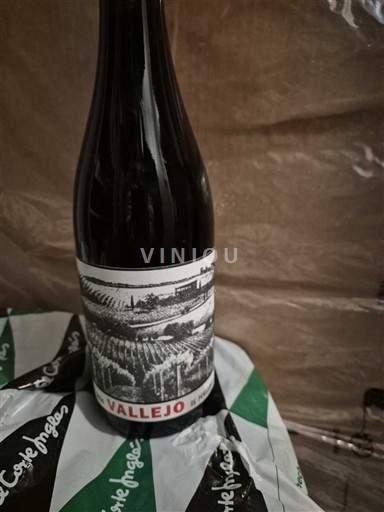 Thung lũng sông Loire Saumur-champigny Vallejo Không niên vụ