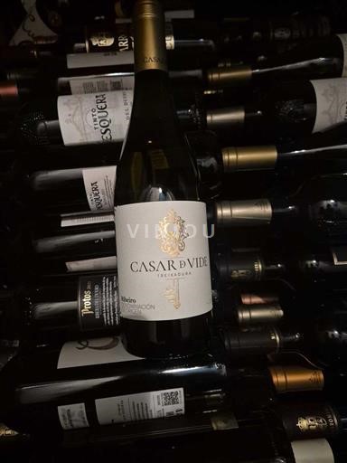 Galicia O Ribeiro Casar de Vide Treixadura Không niên vụ