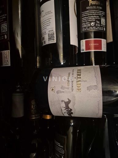 Castiglia e León Ribera del Duero Mirador de la Cañada 2021