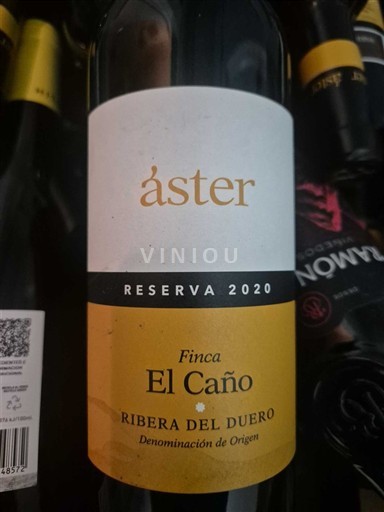 Castiglia e León Ribera del Duero Áster Finca El Caño Reserva 2020