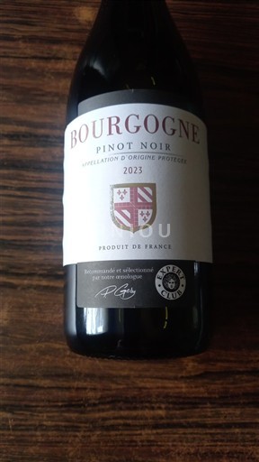 Burgundy Domaine Domaine 2023