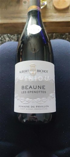 Bourgogne Beaune Domaine Albert Bichot - Domaine du Pavillon Les Epenottes 2023