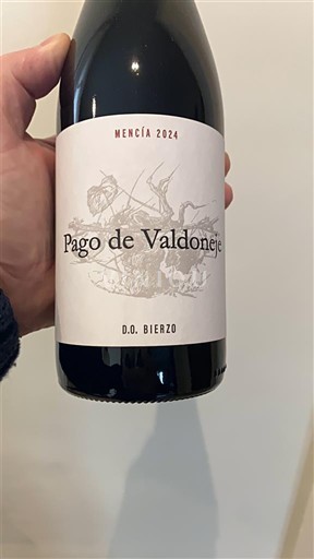 Castilien og León Bierzo Pago de Valdoneje Mencía 2024