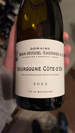 Borgogna Borgogna Côte d'Or Domaine Jean-Michel Gaunoux & Fils 2023