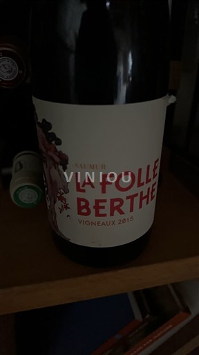 Valle della Loira Saumur Vigneaux La Folle Berthe 2015