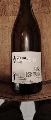 Bordeaux Bordeaux trắng Domaine Guillot Hors des clous (amphore) 2024