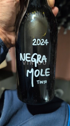 Algarve Arvad Negra mole 2024
