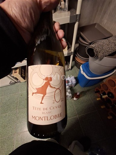 Languedoc và Roussillon Vùng đất Oc Montlobre Tête de 2022