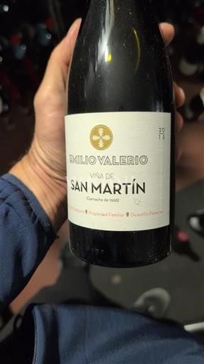 Navarra Emilio Valerio Viña de San Martín 2013