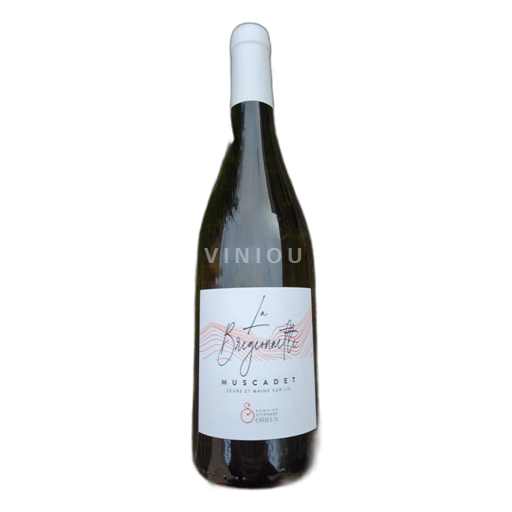 Loiren laakso Määrittelemätön Domaine Stéphane Orieux La Brigonnette 2023