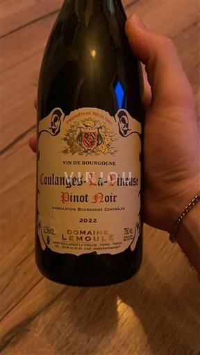 Bourgogne Bourgogne Coulanges-la-Vineuse Domaine Lemoule 2022 2022