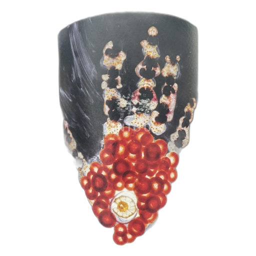 Alsace Ospecificerad Vignoble des Rêveurs Artisan 2020