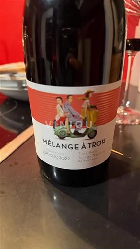 Sudoeste Côtes del Lot Mélange à Trois 2022