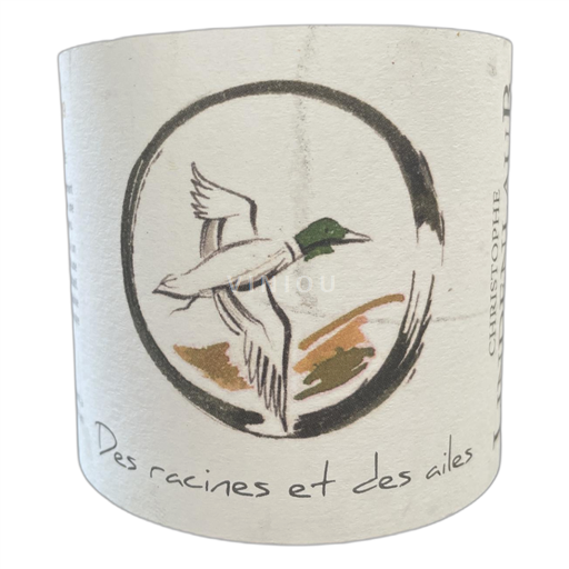 Elzas Niet gespecificeerd Christophe Lindenlaub Des racines et des ailes Niet-geïntegreerd